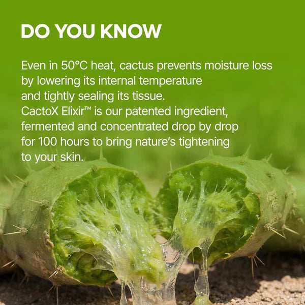 Cactus Contour Neck Mask