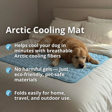 Hivern™ Cooling Dog Mat