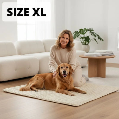 Size XL — x-large dog