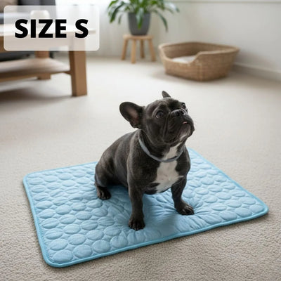 Size S — small dog
