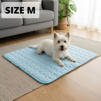 Size M — medium dog