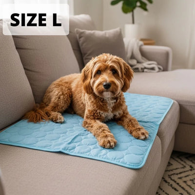 Size L — large dog