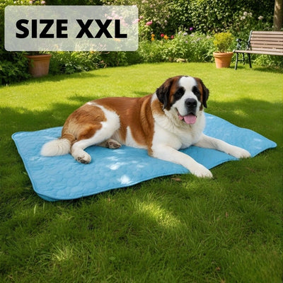 Size XXL — giant dog