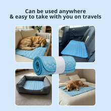 Hivern™ Cooling Dog Mat