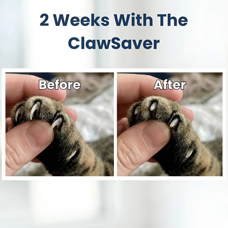 ScratchSaver™